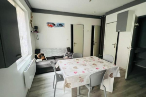 Bel appartement 50 m télécabines 200 m village